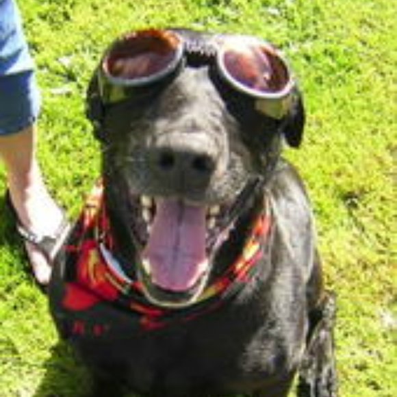 Meet your Posher, Kj - Picture 13 of 14